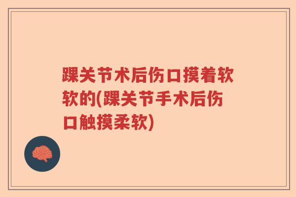 踝关节术后伤口摸着软软的(踝关节手术后伤口触摸柔软) 踝关节术后伤口摸着软软的(踝关节手术后伤口触摸柔软)