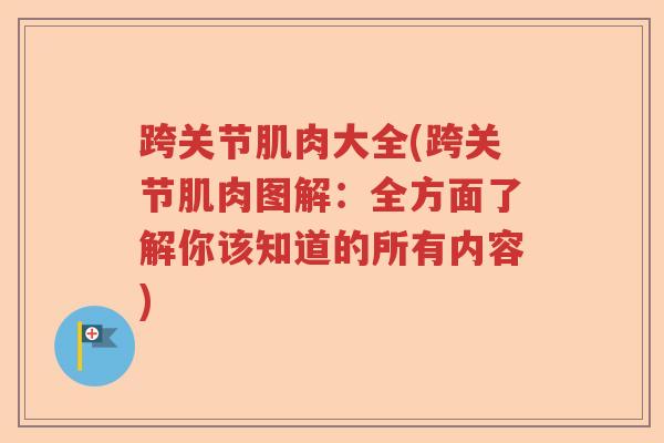跨关节肌肉大全(跨关节肌肉图解:全方面了解你该知道的所有内容) 跨关节肌肉大全(跨关节肌肉图解:全方面了解你该知道的所有内容)