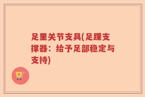 足里关节支具(足踝支撑器:给予足部稳定与支持) 足里关节支具(足踝支撑器:给予足部稳定与支持)