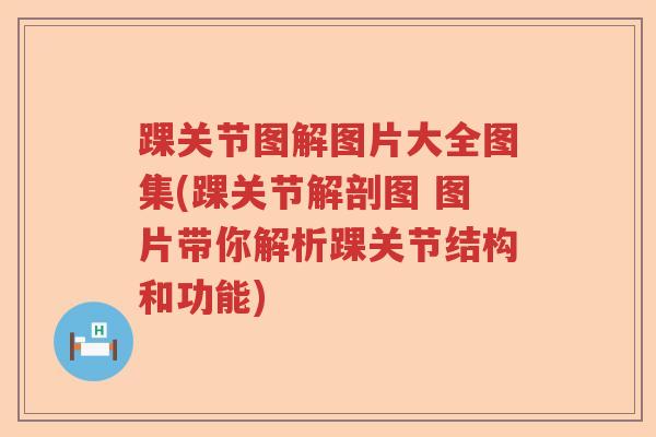 踝关节图解图片大全图集(踝关节解剖图 图片带你解析踝关节结构和功能) 踝关节图解图片大全图集(踝关节解剖图 图片带你解析踝关节结构和功能)