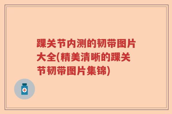 踝关节内测的韧带图片大全(精美清晰的踝关节韧带图片集锦)