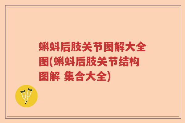 蝌蚪后肢关节图解大全图(蝌蚪后肢关节结构图解 集合大全) 蝌蚪后肢关节图解大全图(蝌蚪后肢关节结构图解 集合大全)