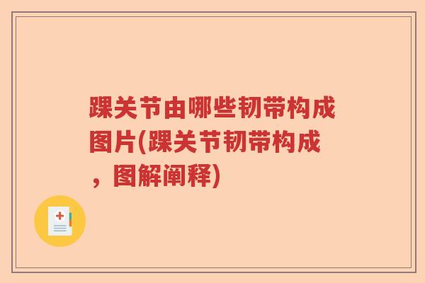 踝关节由哪些韧带构成图片(踝关节韧带构成,图解阐释) 踝关节由哪些韧带构成图片(踝关节韧带构成,图解阐释)