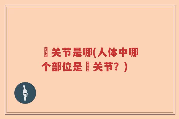 臗关节是哪(人体中哪个部位是臗关节?) 臗关节是哪(人体中哪个部位是臗关节?)