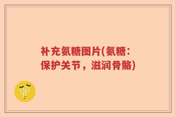补充氨糖图片(氨糖:保护关节,滋润骨骼) 补充氨糖图片(氨糖:保护关节,滋润骨骼)