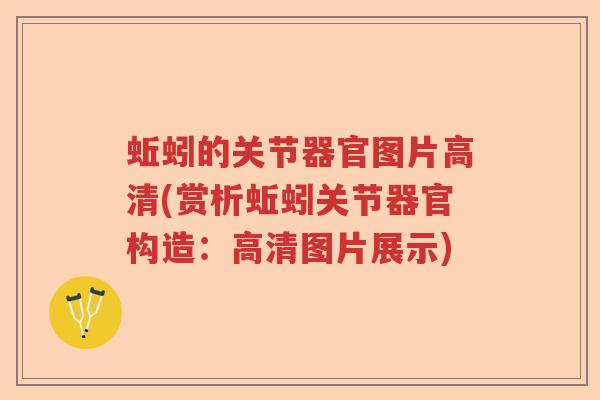 蚯蚓的关节器官图片高清(赏析蚯蚓关节器官构造:高清图片展示) 蚯蚓的关节器官图片高清(赏析蚯蚓关节器官构造:高清图片展示)