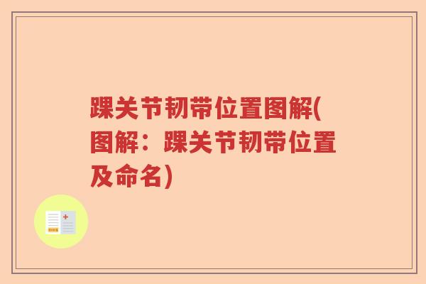 踝关节韧带位置图解(图解:踝关节韧带位置及命名) 踝关节韧带位置图解(图解:踝关节韧带位置及命名)
