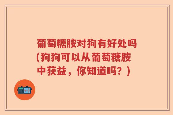 葡萄糖胺对狗有好处吗(狗狗可以从葡萄糖胺中获益,你知道吗?) 葡萄糖胺对狗有好处吗(狗狗可以从葡萄糖胺中获益,你知道吗?)
