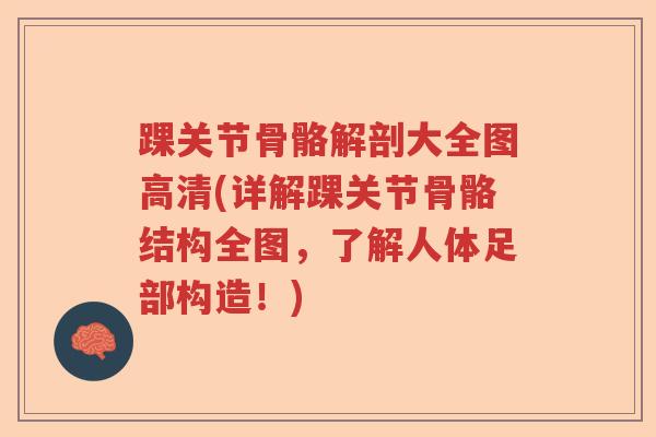 踝关节骨骼解剖大全图高清(详解踝关节骨骼结构全图,了解人体足部构造!) 踝关节骨骼解剖大全图高清(详解踝关节骨骼结构全图,了解人体足部构造!)
