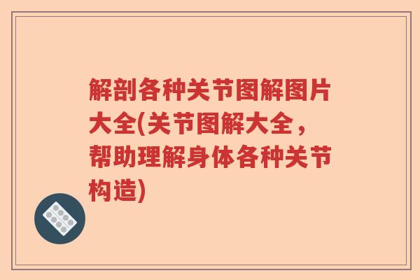 解剖各种关节图解图片大全(关节图解大全,帮助理解身体各种关节构造) 解剖各种关节图解图片大全(关节图解大全,帮助理解身体各种关节构造)