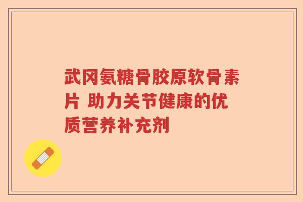 武冈氨糖骨胶原软骨素片 助力关节健康的优质营养补充剂 武冈氨糖骨胶原软骨素片 助力关节健康的优质营养补充剂