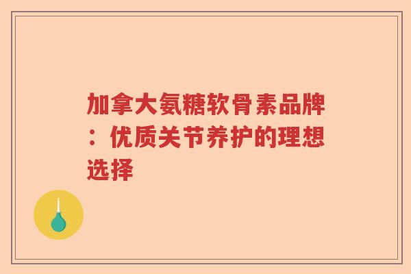 加拿大氨糖软骨素品牌:优质关节养护的理想选择 加拿大氨糖软骨素品牌:优质关节养护的理想选择