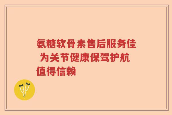 氨糖软骨素售后服务佳 为关节健康保驾护航值得信赖