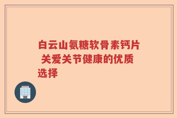 白云山氨糖软骨素钙片 关爱关节健康的优质选择