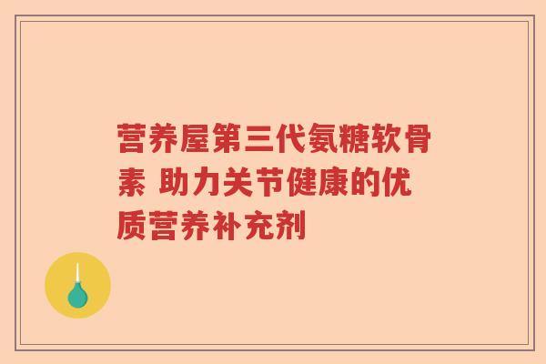 营养屋第三代氨糖软骨素 助力关节健康的优质营养补充剂 营养屋第三代氨糖软骨素 助力关节健康的优质营养补充剂