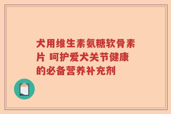 犬用维生素氨糖软骨素片 呵护爱犬关节健康的必备营养补充剂 犬用维生素氨糖软骨素片 呵护爱犬关节健康的必备营养补充剂