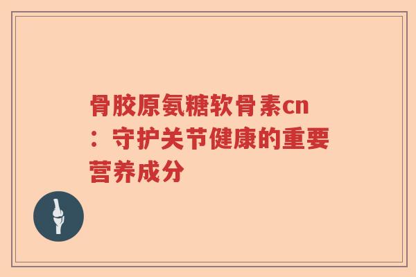 骨胶原氨糖软骨素cn:守护关节健康的重要营养成分 骨胶原氨糖软骨素cn:守护关节健康的重要营养成分