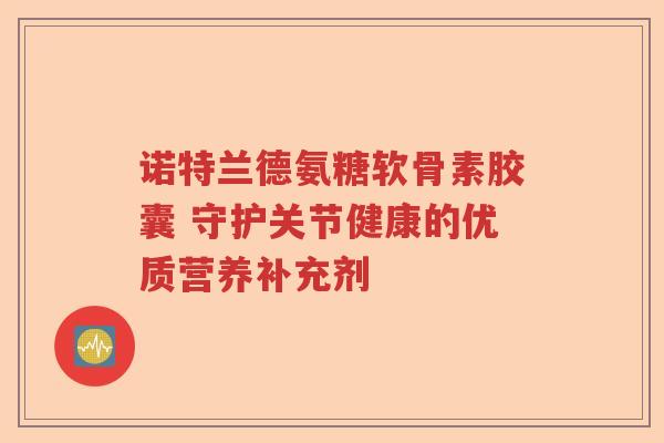 诺特兰德氨糖软骨素胶囊 守护关节健康的优质营养补充剂