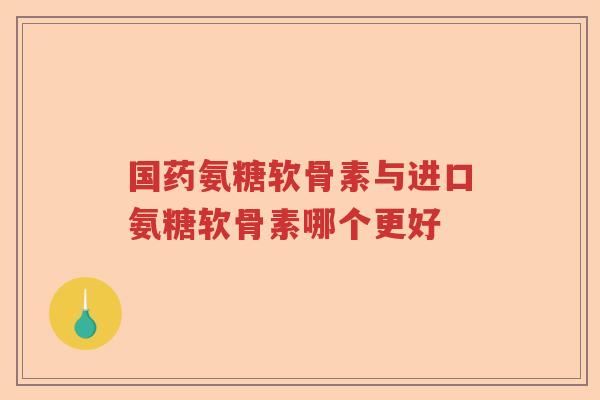 国药氨糖软骨素与进口氨糖软骨素哪个更好