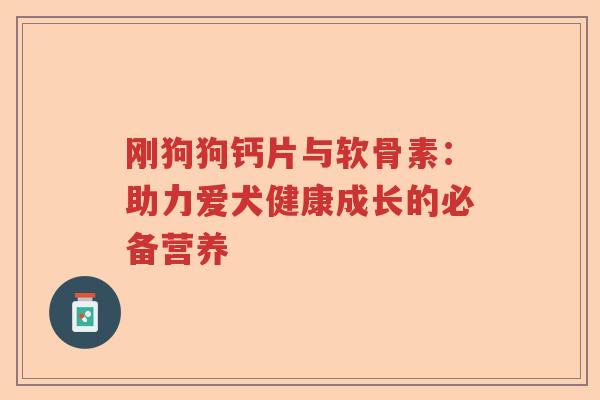 刚狗狗钙片与软骨素：助力爱犬健康成长的必备营养
