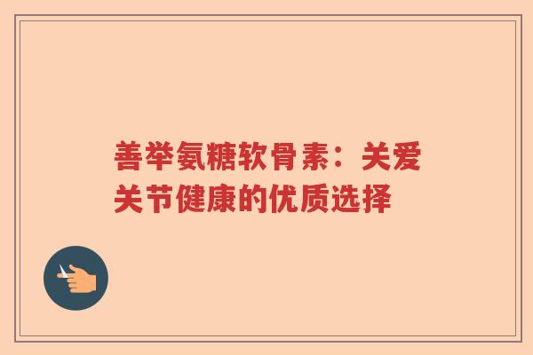 善举氨糖软骨素:关爱关节健康的优质选择 善举氨糖软骨素:关爱关节健康的优质选择