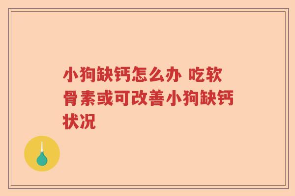 小狗缺钙怎么办 吃软骨素或可改善小狗缺钙状况