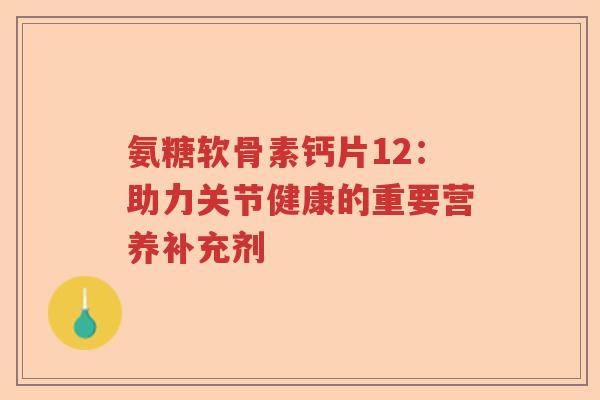 氨糖软骨素钙片12：助力关节健康的重要营养补充剂