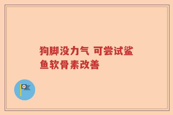 狗脚没力气 可尝试鲨鱼软骨素改善 狗脚没力气 可尝试鲨鱼软骨素改善