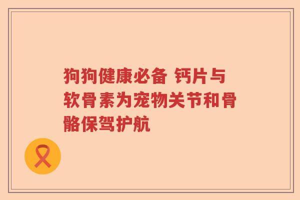 狗狗健康必备 钙片与软骨素为宠物关节和骨骼保驾护航 狗狗健康必备 钙片与软骨素为宠物关节和骨骼保驾护航