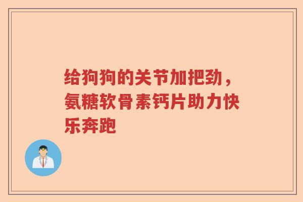 给狗狗的关节加把劲,氨糖软骨素钙片助力快乐奔跑 给狗狗的关节加把劲,氨糖软骨素钙片助力快乐奔跑
