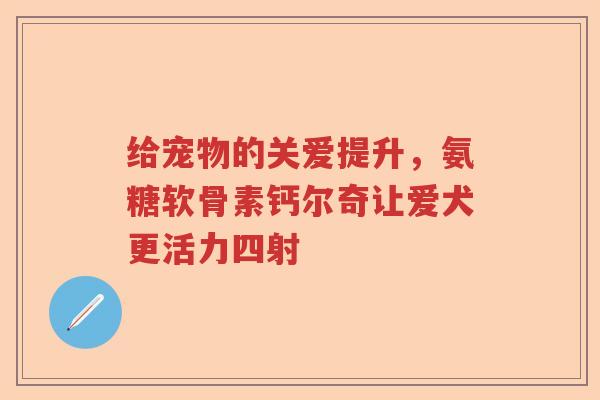 给宠物的关爱提升，氨糖软骨素钙尔奇让爱犬更活力四射