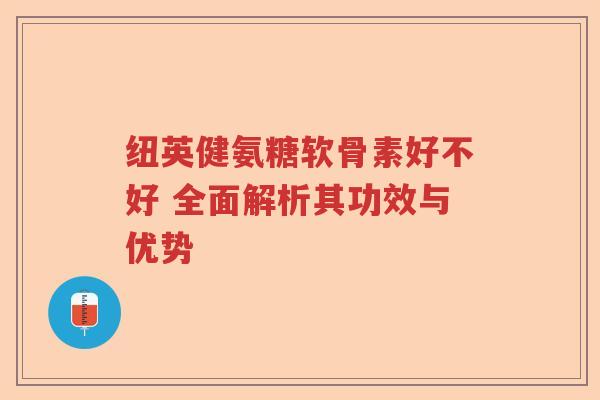 纽英健氨糖软骨素好不好 全面解析其功效与优势